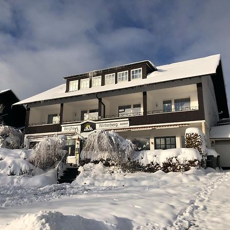 Berghaus Winterberg酒店 外观 照片